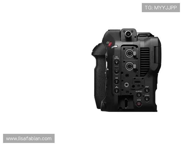 尊龙z6.com在线登录遇到问题怎么办提供全面解决方案与技术支持